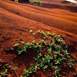 CMA否决微软收购动视暴雪 动暴股价应声暴跌11%