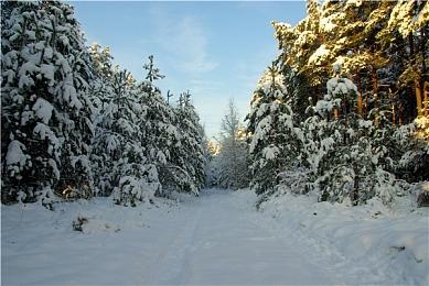 《黑暗之魂3》第一人称视角Mod分享 视频展示